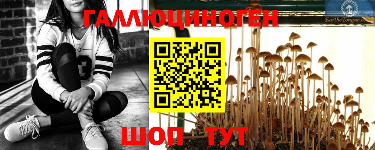 Ртищево  Псилоцибиновые грибы Magic Shrooms  Вход с VPN  Галлюциногенные грибы Psilocybe 